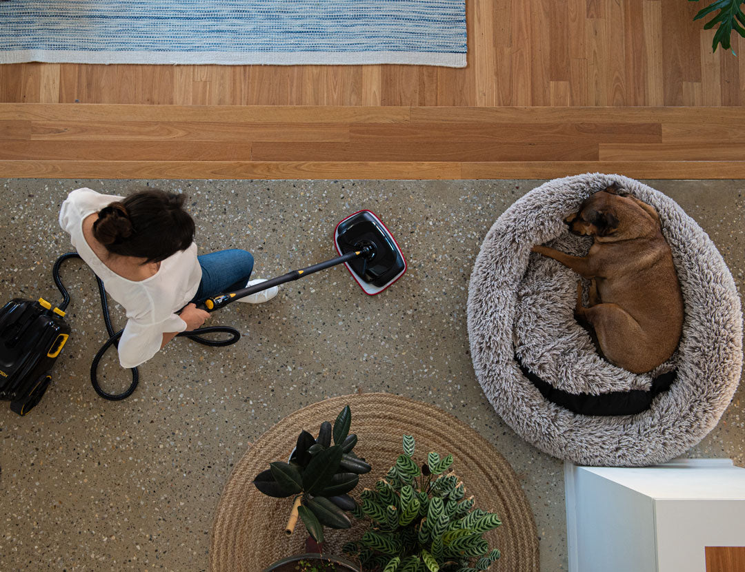 How To Steam Clean Your Living Room